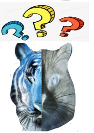 到底谁才是我老婆